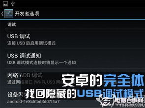 USB調(diào)試不見了怎么辦？電腦圖文設(shè)計(jì)找回隱藏的USB調(diào)試模式指南